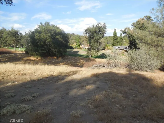 1 Acre Griffin Drive, Oakhurst, California 93644