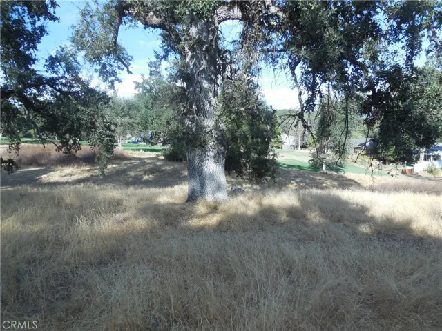 1 Acre Griffin Drive, Oakhurst, California 93644