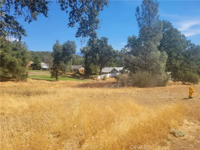 1 Acre Griffin Drive, Oakhurst, California 93644