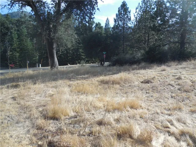 1 Acre Griffin Drive, Oakhurst, California 93644
