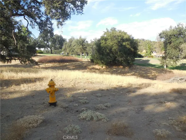 1 Acre Griffin Drive, Oakhurst, California 93644