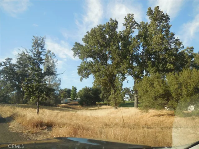 1 Acre Griffin Drive, Oakhurst, California 93644