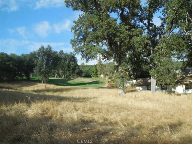 1 Acre Griffin Drive, Oakhurst, California 93644