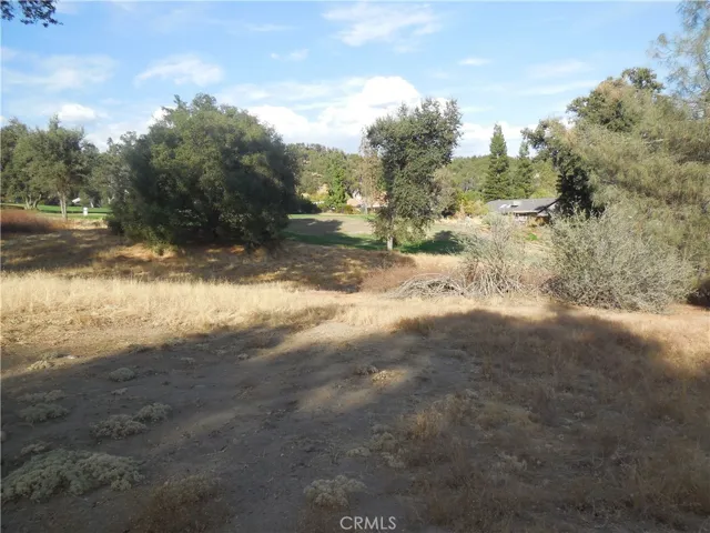 1 Acre Griffin Drive, Oakhurst, California 93644