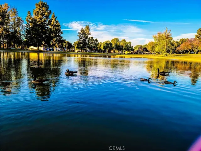 Evening at Heartwell Park