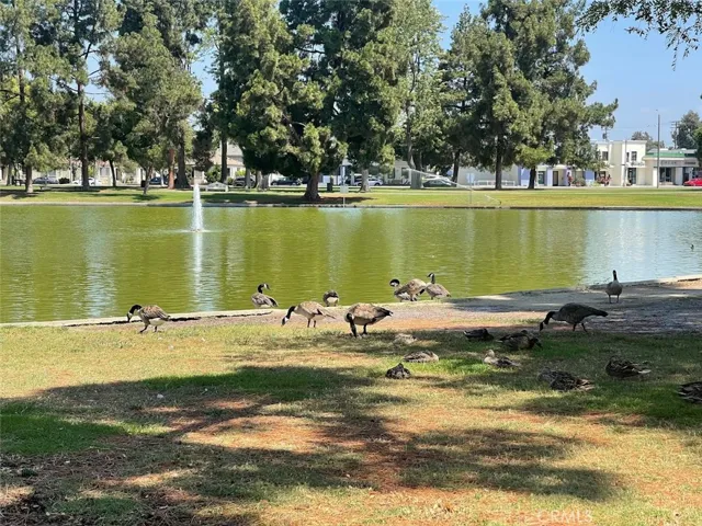 Heartwell Park Duck Pond, with the Parkview Shopping and dining in the background