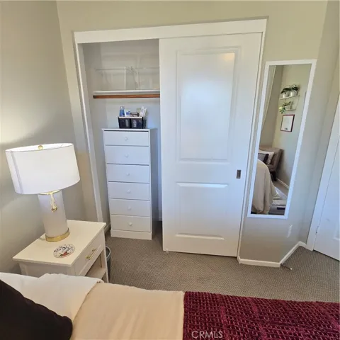 Closet, dresser, and storage boxes
