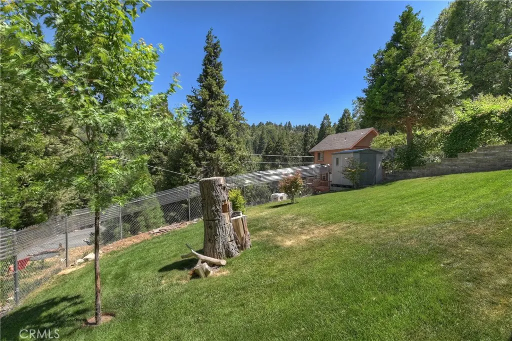 Grassed and fenced Back yard