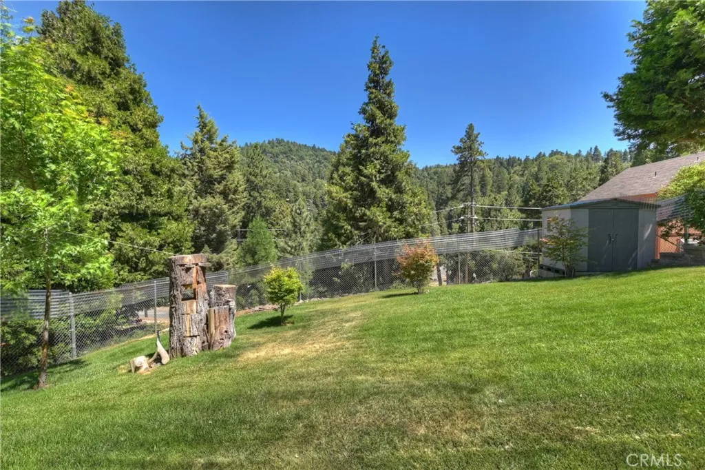 Grassed and fenced Back yard