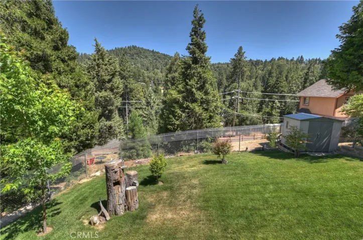 Grassed and fenced Back yard