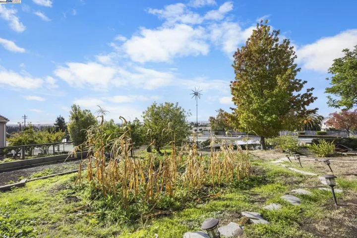 46935 Aloe Ct, Fremont, California 94539