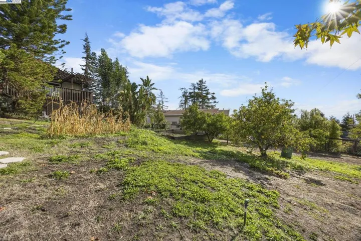 46935 Aloe Ct, Fremont, California 94539