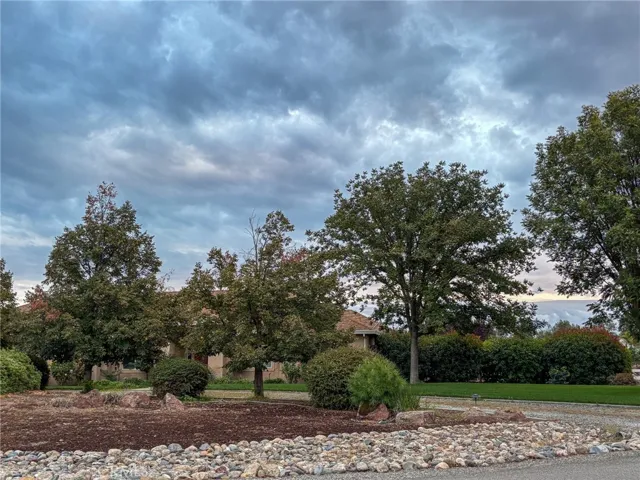 6731 Co Rd 20 (jacey Lane), Orland, California 95963