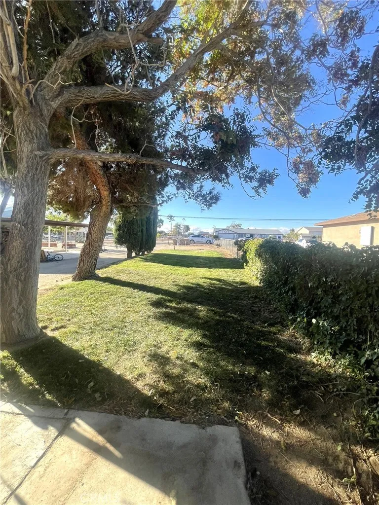 15900 Mesquite, Hesperia, California 92345 home-pic-11