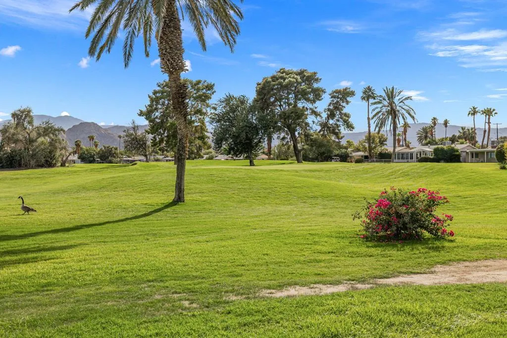 77235 Minnesota Avenue, Palm Desert, California 92211 home-pic-6