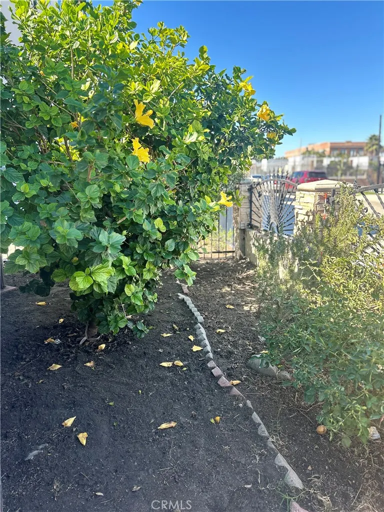 222 W 87th, Los Angeles, California 90003 home-pic-6