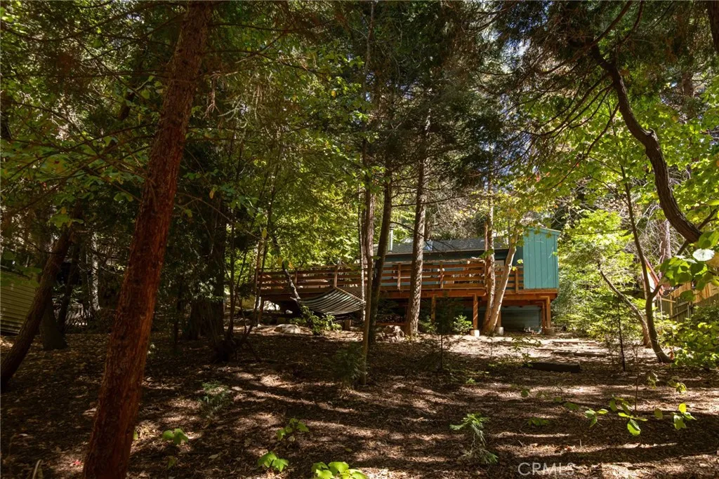 782 Lake Drive, Lake Arrowhead, California 92352 home-pic-22