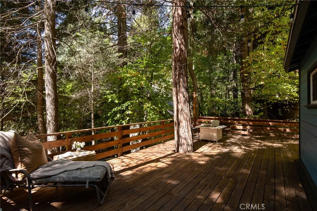 782 Lake Drive, Lake Arrowhead, California 92352 home-pic-19