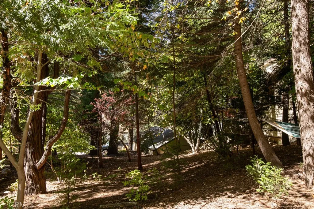 782 Lake Drive, Lake Arrowhead, California 92352 home-pic-23