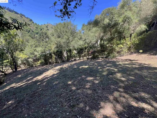View of yard featuring a view of trees