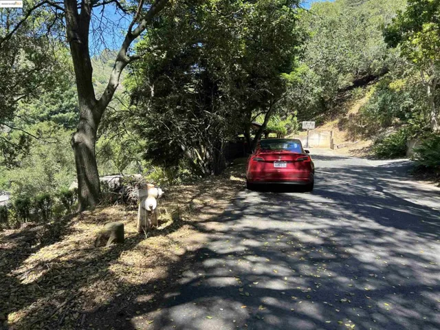 View of road featuring a forest view