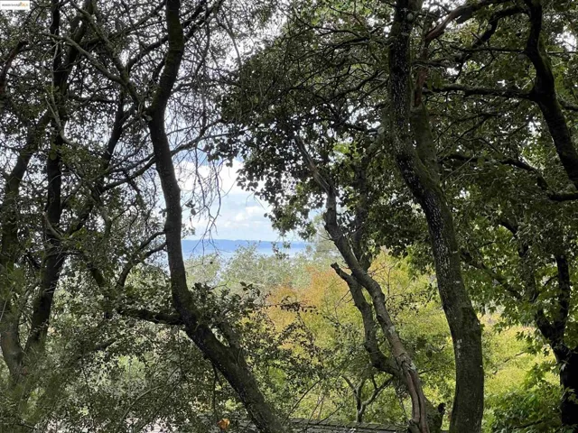 View of wooded area
