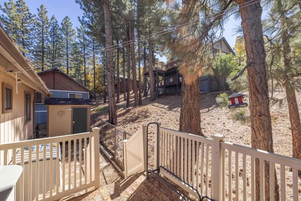 1411 Klamath Road, Big Bear, California 92314 home-pic-11
