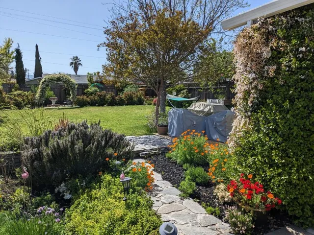 3825 Woodford Drive, San Jose, California 95124