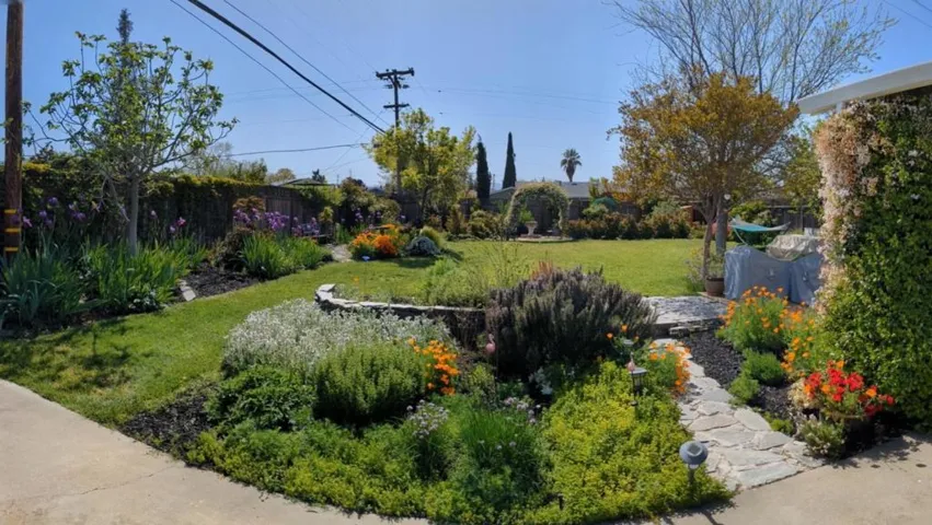 3825 Woodford Drive, San Jose, California 95124