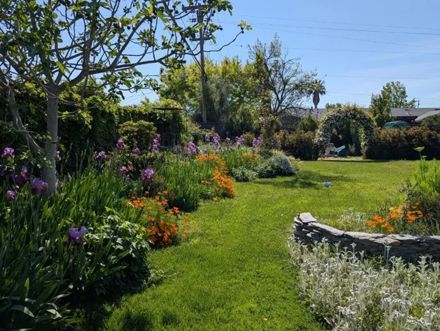 3825 Woodford Drive, San Jose, California 95124