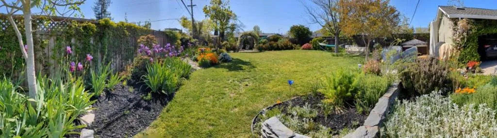 3825 Woodford Drive, San Jose, California 95124