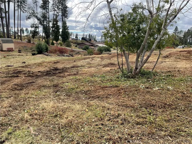 6636 View Acres Drive, Paradise, California 95969