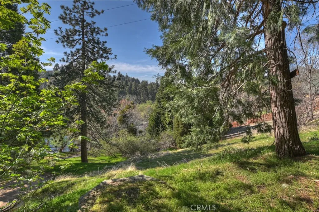 617 Acacia, Crestline, California 92325 home-pic-43