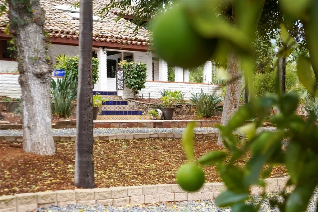 11550 Old Castle, Valley Center, California 92082 home-pic-44