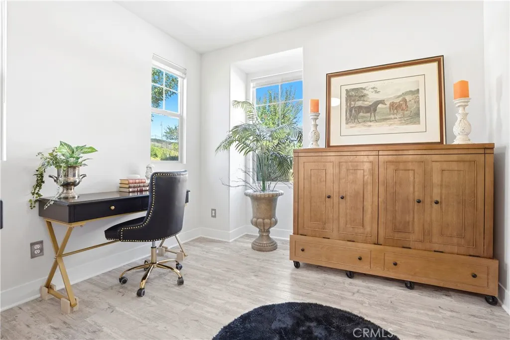 169 Garcilla, Rancho Mission Viejo, California 92694 home-pic-19