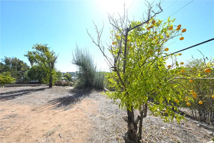 127 E College, Fallbrook, California 92028