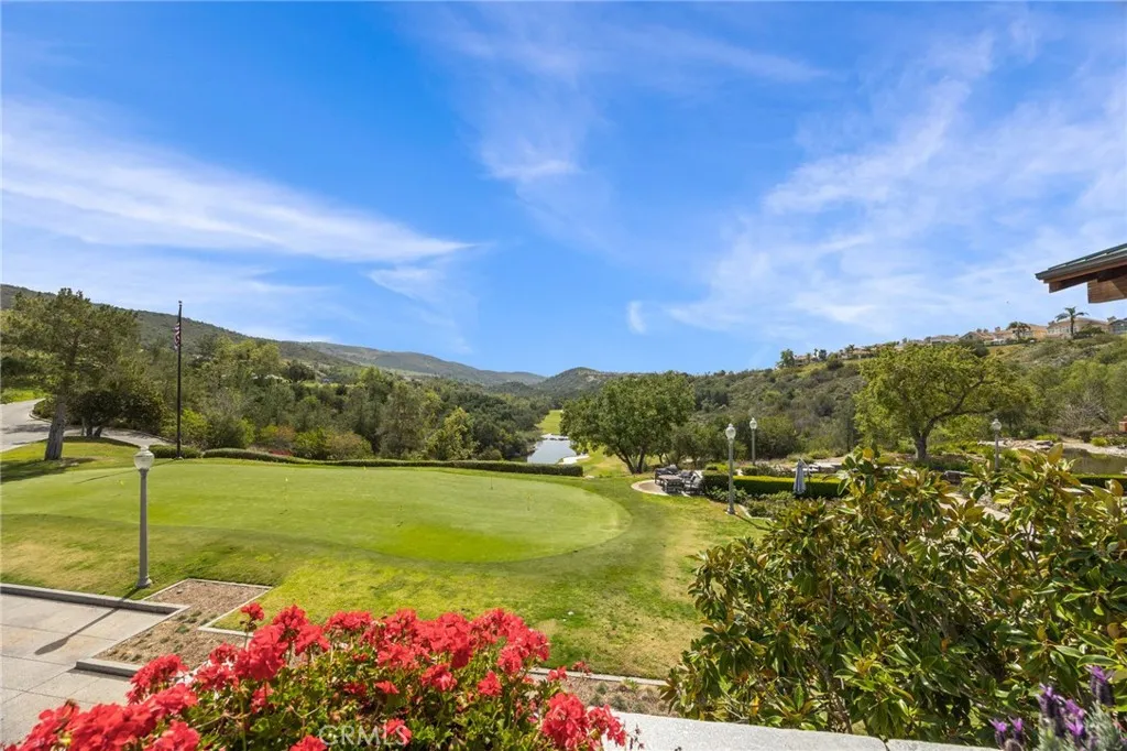 14 Meridian, Rancho Santa Margarita, California 92679 home-pic-49