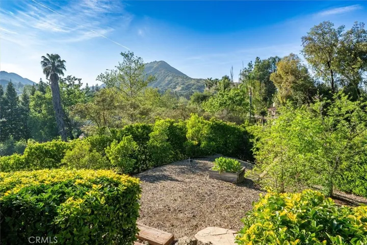 Back Yard Fruit Trees