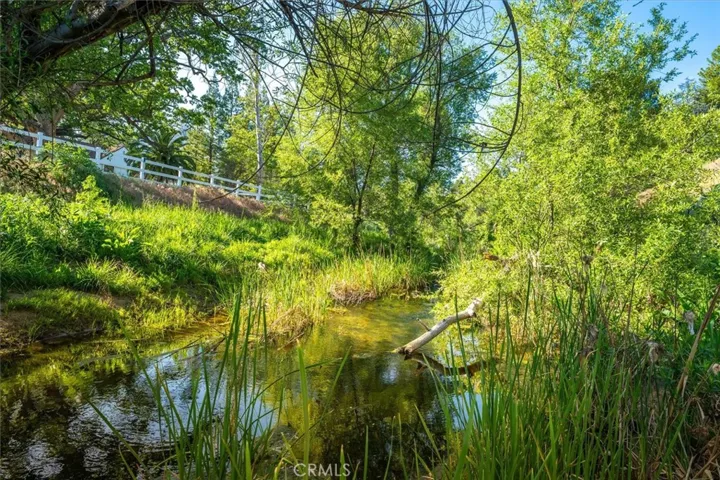 Creek