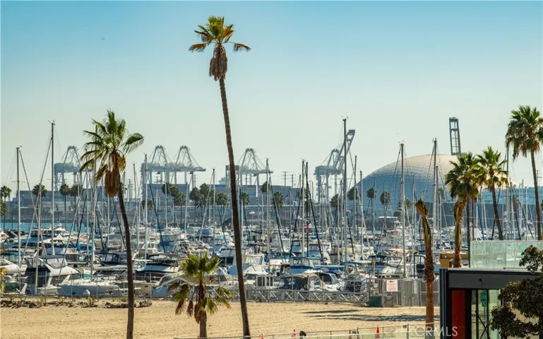 Long Beach Marina & Port in Background