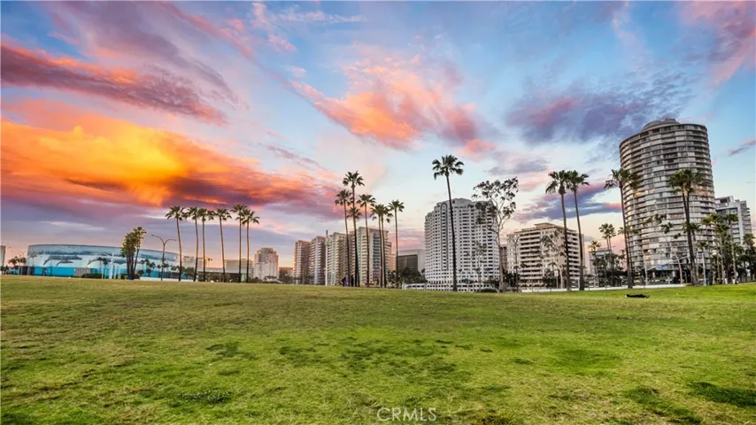 Area Park