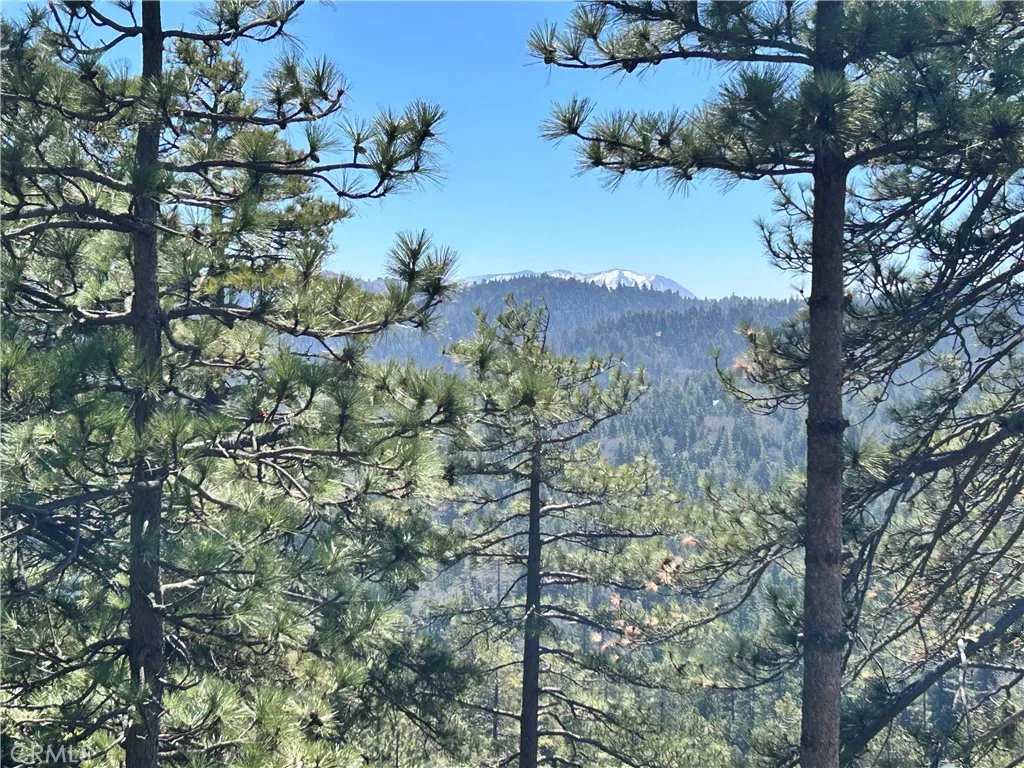 221 Grizzly Road, Lake Arrowhead, California 92317 home-pic-19