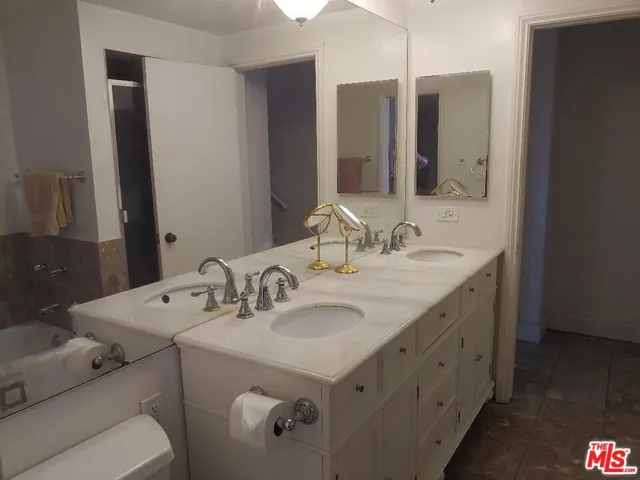 dual sinks