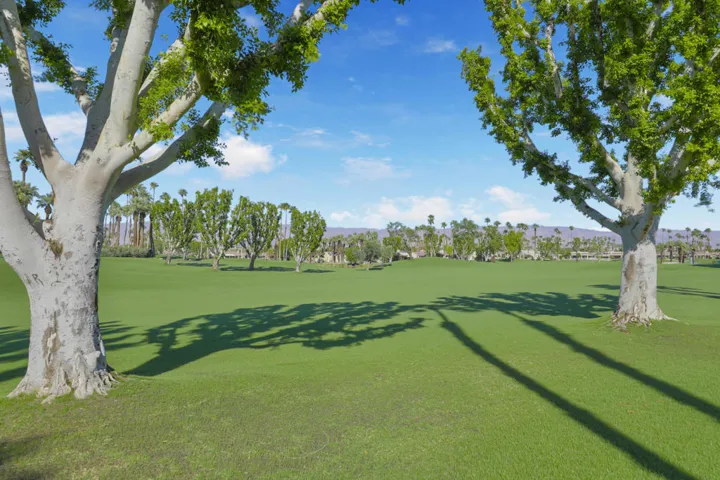 RunningSprings360#33