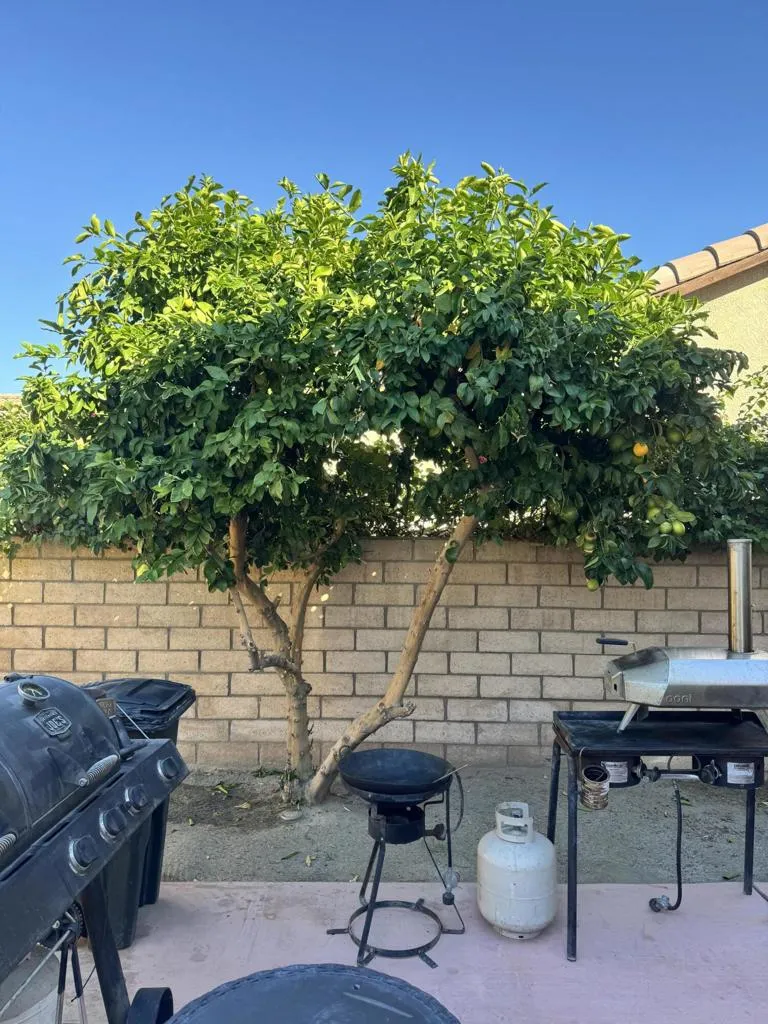 82774 Matthau Drive, Indio, California 92201 home-pic-6
