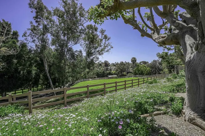 Great glimpse of the upper​​‌​​​​‌​​‌‌​​‌​​​‌‌​​​‌​​‌‌​​‌‌​​‌‌​​​​ pasture
