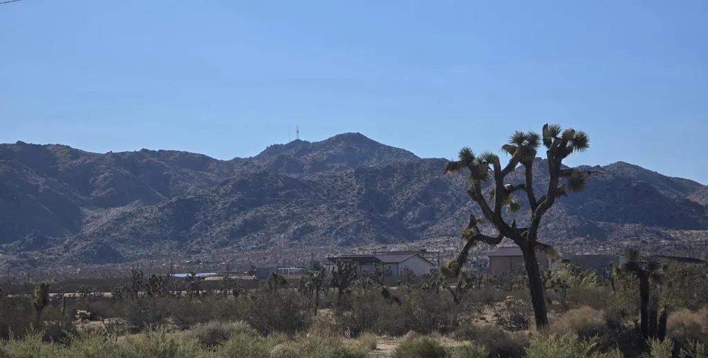 6414 Indio Avenue, Yucca Valley, California 92284 home-pic-7