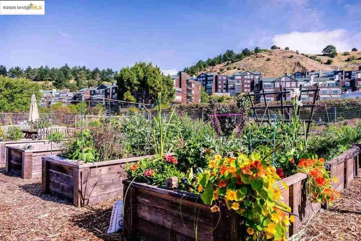 Community Garden