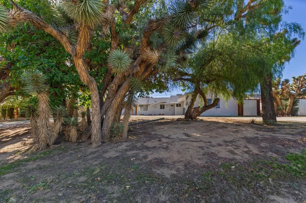 56811 Desert Gold Drive, Yucca Valley, California 92284 home-pic-24