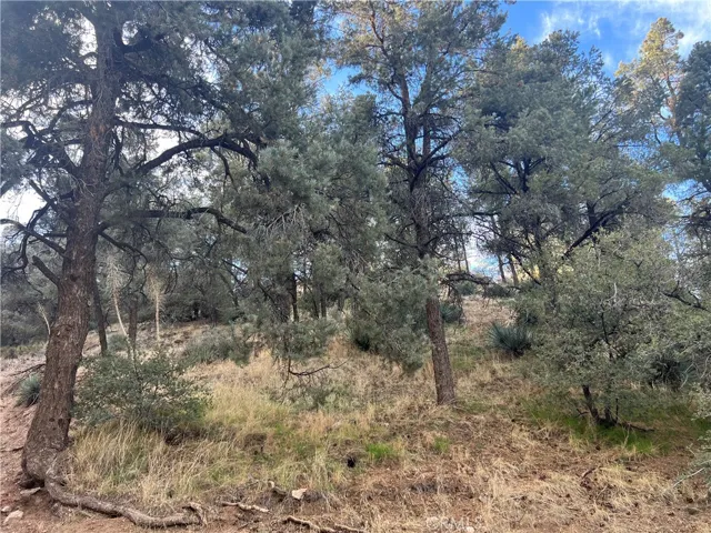 The 5 contiguous lots are uphill from the street.